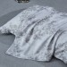 Постельное белье тенсел Asabella 2158