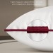 Подушка анатомическая Espera-Comfort 3D
