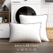 Подушка анатомическая Espera-Comfort 3D